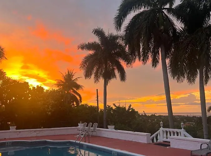 Peaceful Palms Guest house