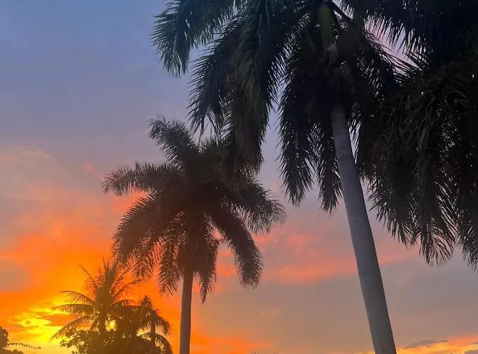 Peaceful Palms Montego Bay