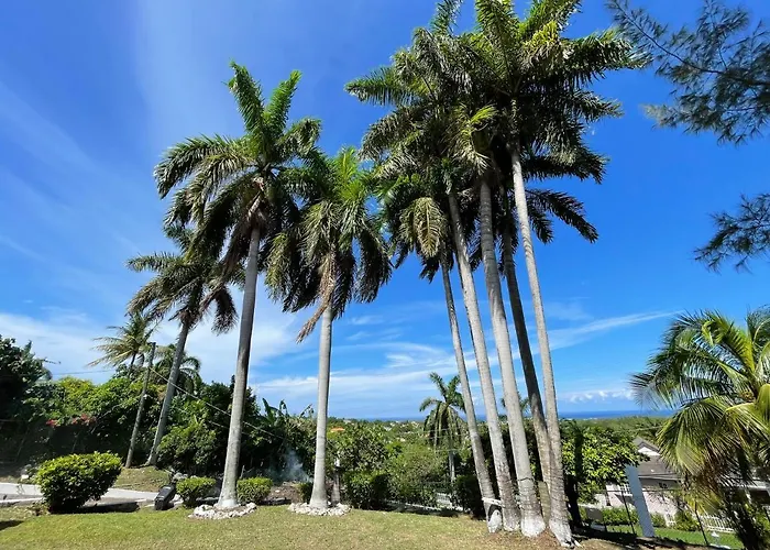 Peaceful Palms Guest house