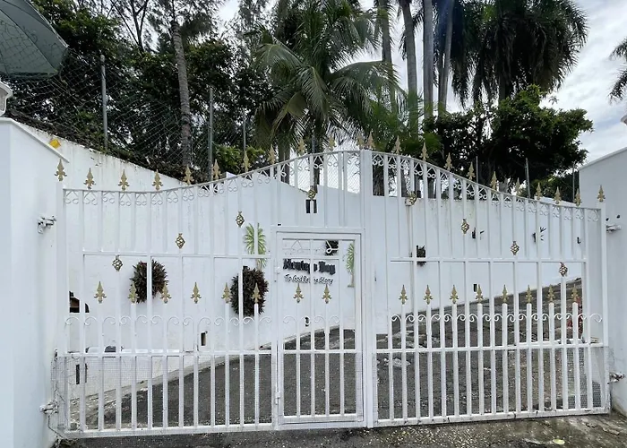 Peaceful Palms