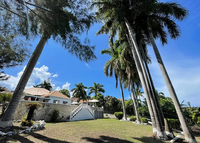 Peaceful Palms