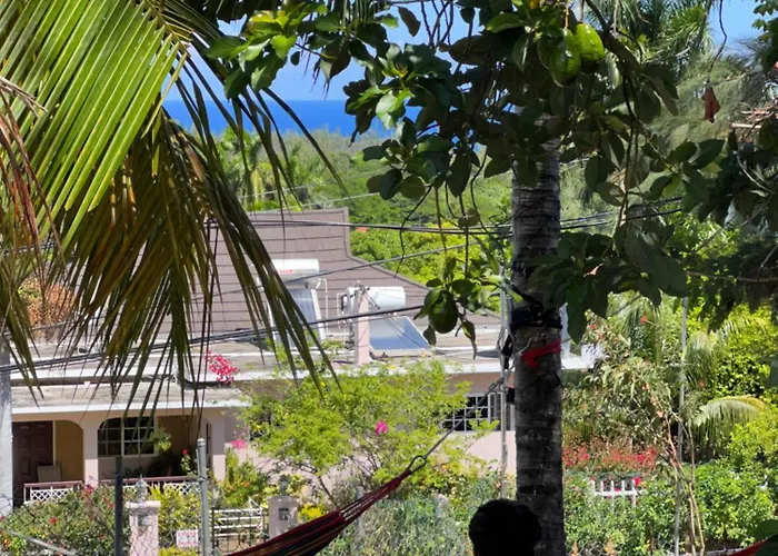 Peaceful Palms *