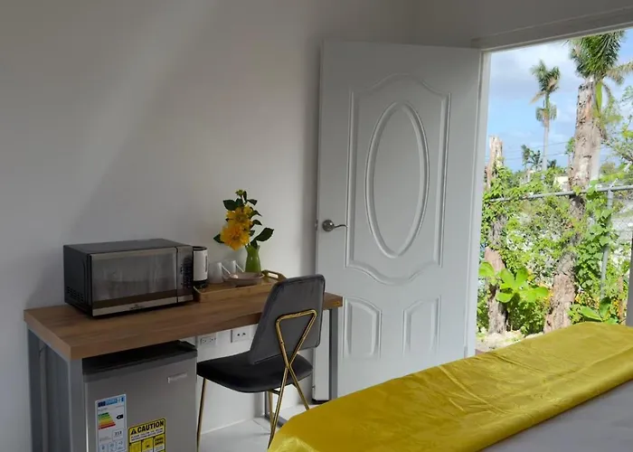 Peaceful Palms Guest house *
