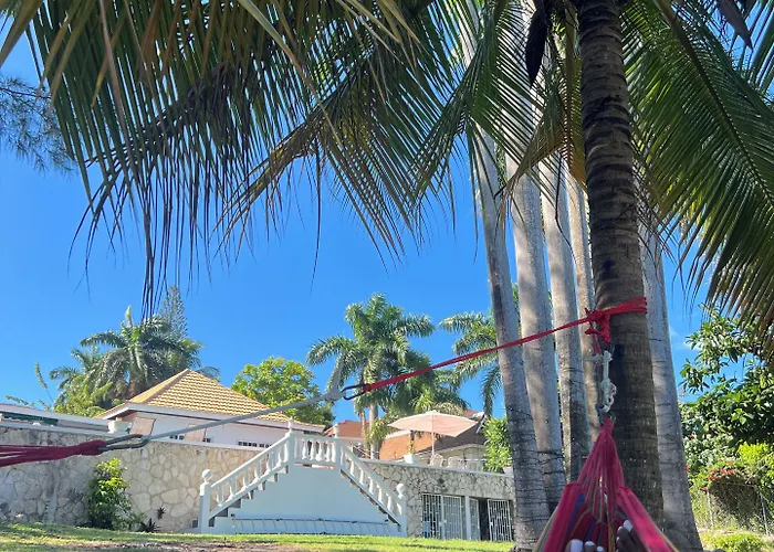 Peaceful Palms *